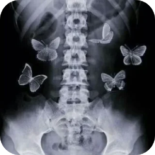 Sticker Больше стиков тут: @stikery4 - 6