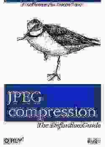 text animal bird