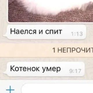 Стикер quality is fine - 5