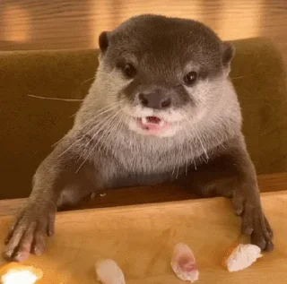 Стикер quality is fine - 7