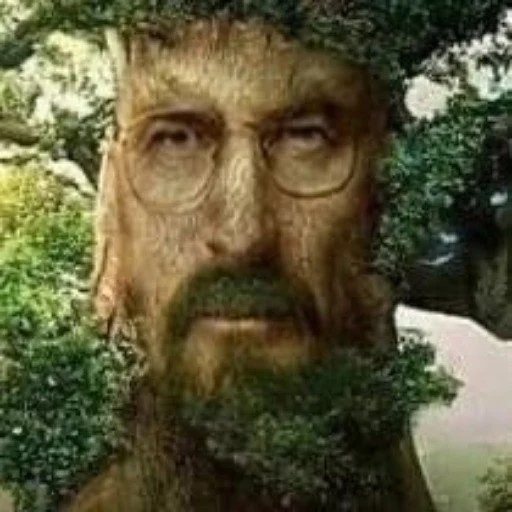 tree man human beard