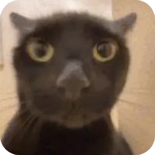 Стикер ∆∆ - 3