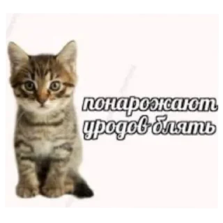 Стикер ∆∆ - 2