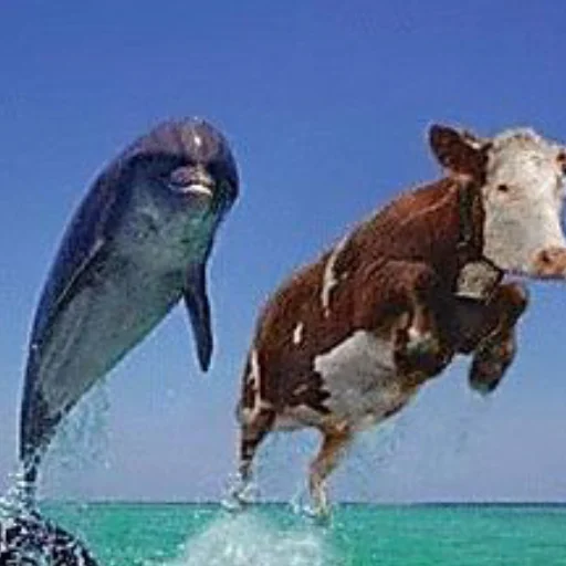 Sticker quarrgelli - 1