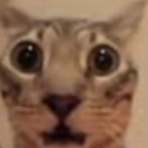 кьбаргельня - 