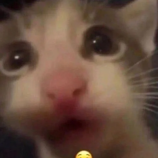 Sticker quarrgelli - 1