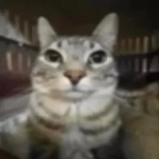 Sticker кьбаргельня - 0