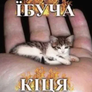 Sticker кьбаргельня - 6