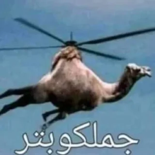 Sticker кьбаргельня - 3