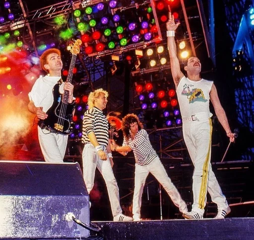 clothing concert person