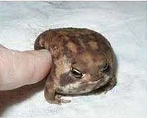 Стикер quehhvv - 1