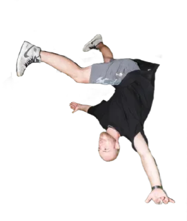 Sticker quokstyle edition - 5