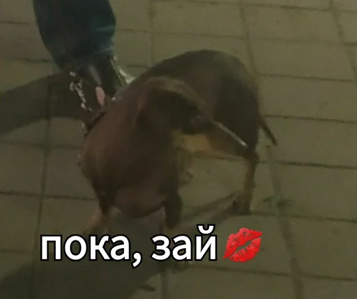 Sticker Стикеры @stickrubot @textmeru_bot - 1