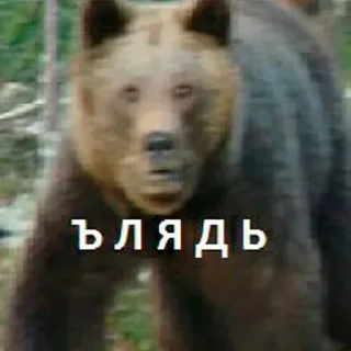 Sticker я гений - 7