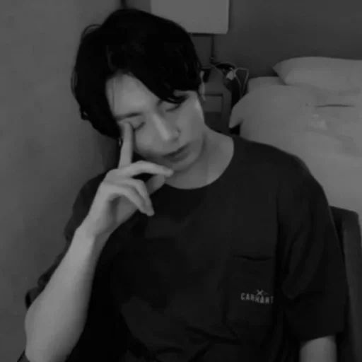 Человек человеческое лицо комнатный