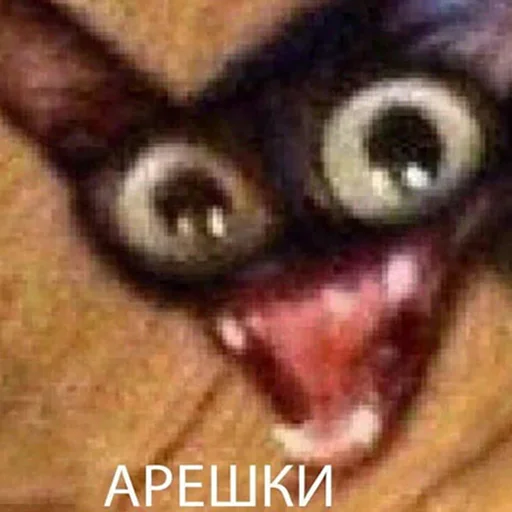 Sticker YouTubeQwertyDN - 1