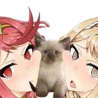 Стикер Больше стиков тут: @stikery4 - 6