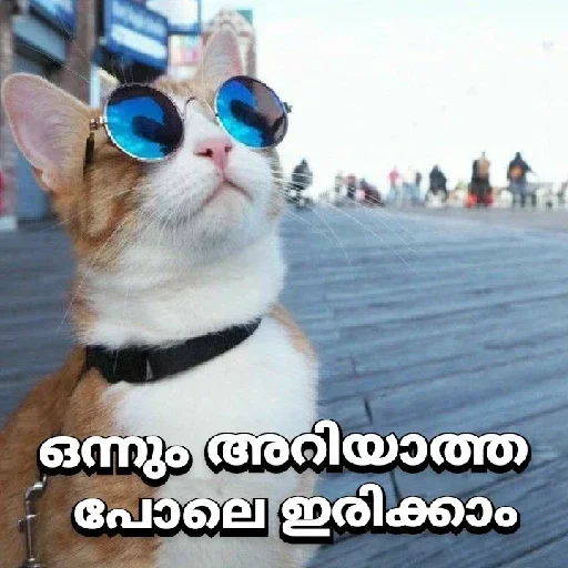 Sticker rHKjzC_by_stickers_stealer_bot - 1