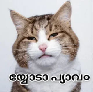 Стикер Больше стикеров 👉🏻 @stickertg4 - 6