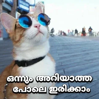 Стикер Больше стикеров 👉🏻 @stickertg4 - 10