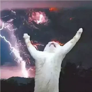 Стикер Больше стикеров 👉🏻 @stickertg4 - 9