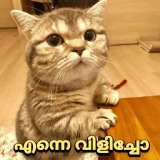 Стикер Больше стикеров 👉🏻 @stickertg4 - 0