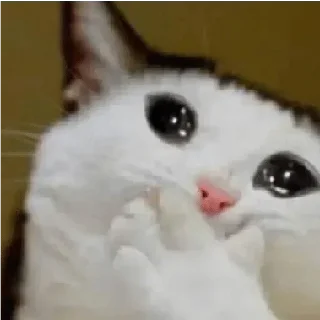 Стикер Больше стикеров 👉🏻 @stickertg4 - 7