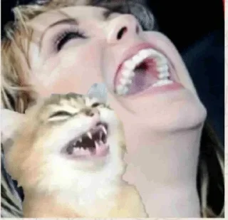 Стикер Больше стикеров 👉🏻 @stickertg4 - 5