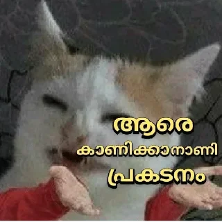 Стикер Больше стикеров 👉🏻 @stickertg4 - 11