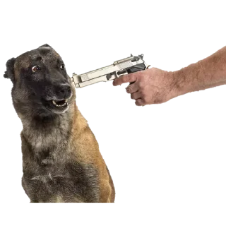 Sticker Больше стикеров 👉🏻 @stickertg4 - 6