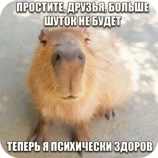 Больше стиков тут: @stikery4 - 