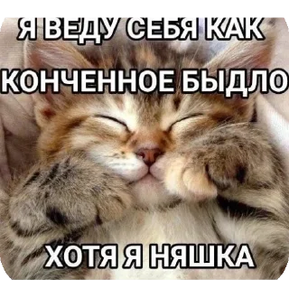 Стикер Больше стиков тут: @stikery4 - 4