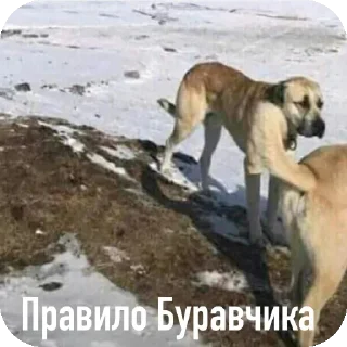 Стикер Больше стиков тут: @stikery4 - 0