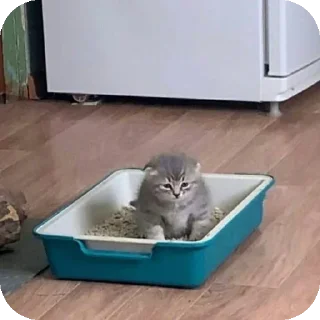 Стикер Больше стиков тут: @stikery4 - 5