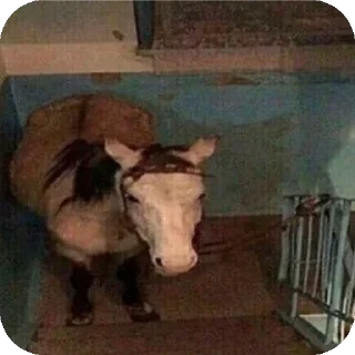 Стикер Больше стиков тут: @stikery4 - 3