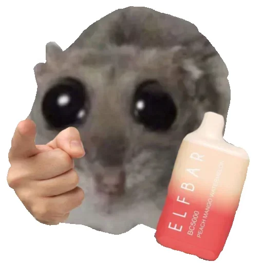 Sticker rNRRvEYhHGKxI_by_stickers_stealer_bot - 1