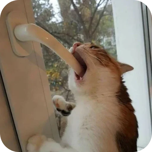 Sticker rSjufOD_by_achestickbot - 1