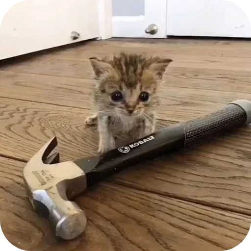 Sticker rSjufOD_by_achestickbot - 1