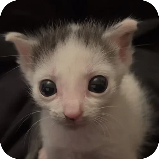 Больше стиков тут: @stikery4 - 