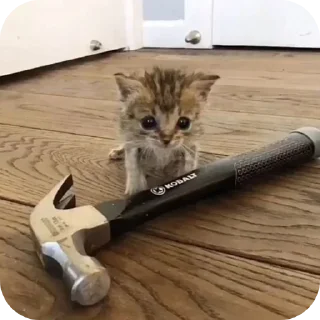 Sticker Больше стиков тут: @stikery4 - 6