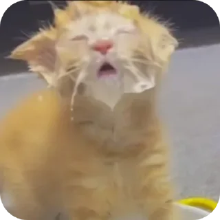 Sticker Больше стиков тут: @stikery4 - 9