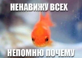 Sticker Больше стиков тут: @stikery4 - 8