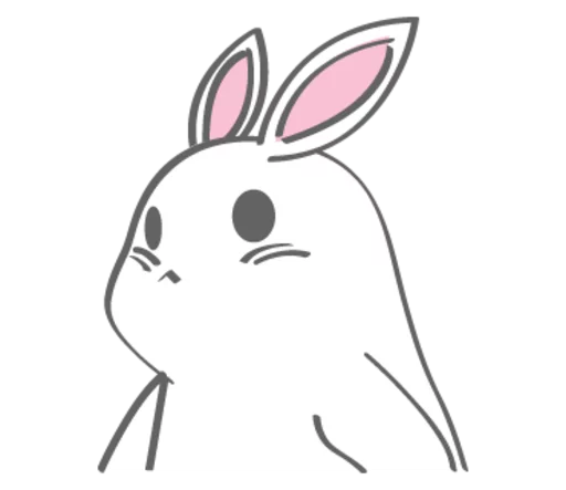 кролик кролики и зайцы животное