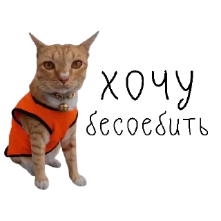 Sticker коты ишачат на заводе - 11