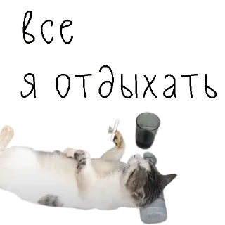 Sticker коты ишачат на заводе - 9