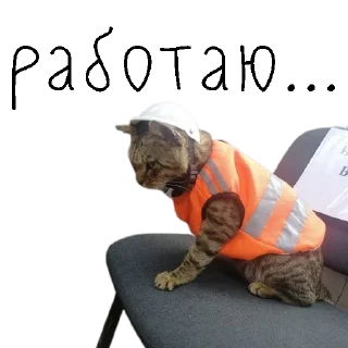 Sticker коты ишачат на заводе - 6