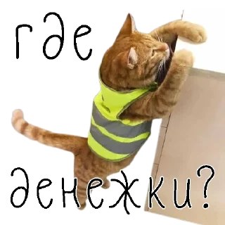 Sticker коты ишачат на заводе - 1