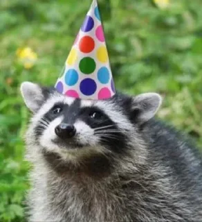 Sticker Логово енотов - 8