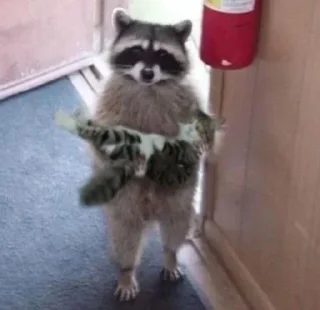 Sticker Логово енотов - 10