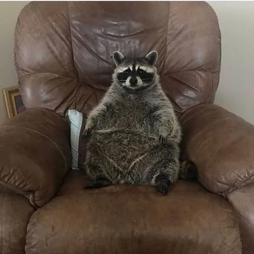 Sticker raccoon_by_HitchhikersBot - 1